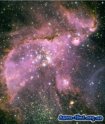 Young Stars Sculpt Gas with Powerful Outflows in the Small Magellanic Cloud