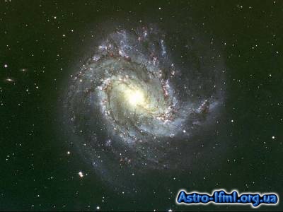 NGC 5236