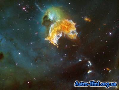 Supernova Remnant N 63A Menagerie